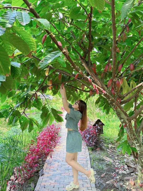 Du Lịch Hậu Giang – Vinh Tour