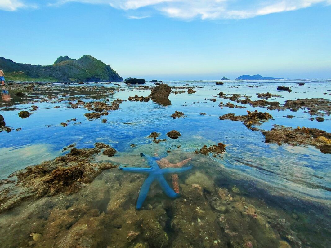 Du Lịch Hậu Giang – Vinh Tour