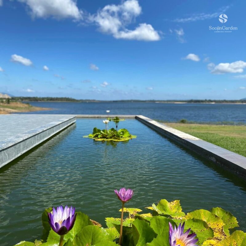 Du Lịch Hậu Giang – Vinh Tour