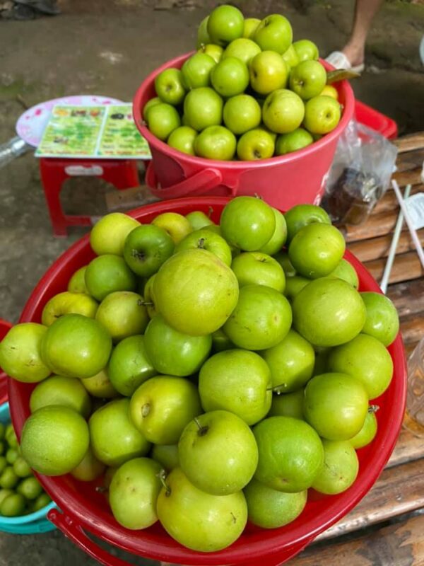 Du Lịch Hậu Giang – Vinh Tour