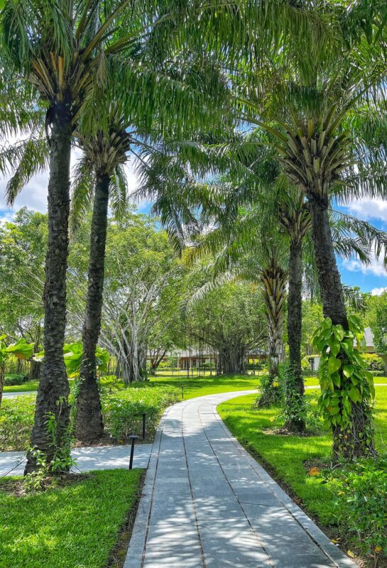 Du Lịch Hậu Giang – Vinh Tour