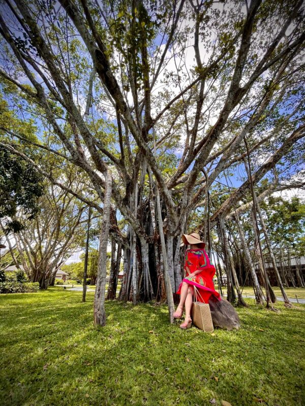 Du Lịch Hậu Giang – Vinh Tour