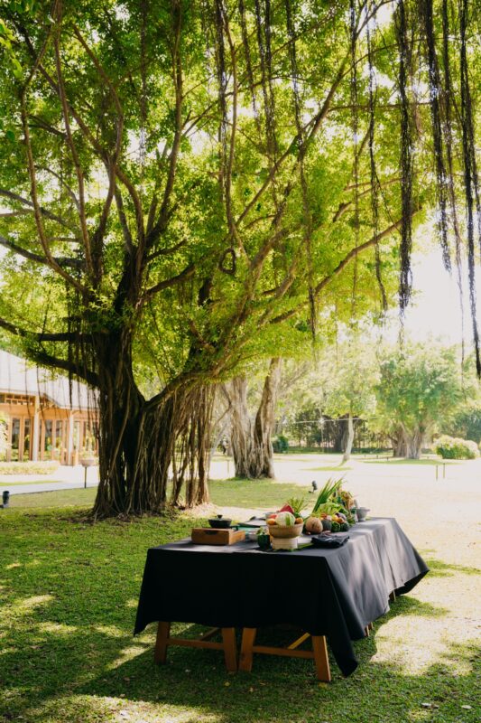 Du Lịch Hậu Giang – Vinh Tour