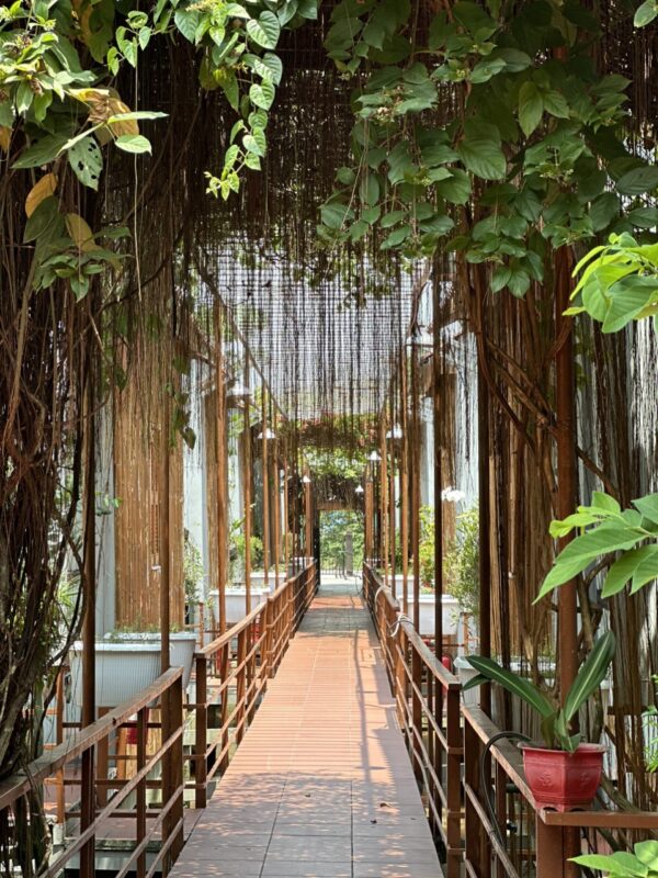 Du Lịch Hậu Giang – Vinh Tour