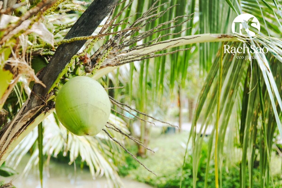 Du Lịch Hậu Giang – Vinh Tour