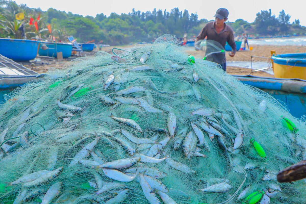 Du Lịch Hậu Giang – Vinh Tour