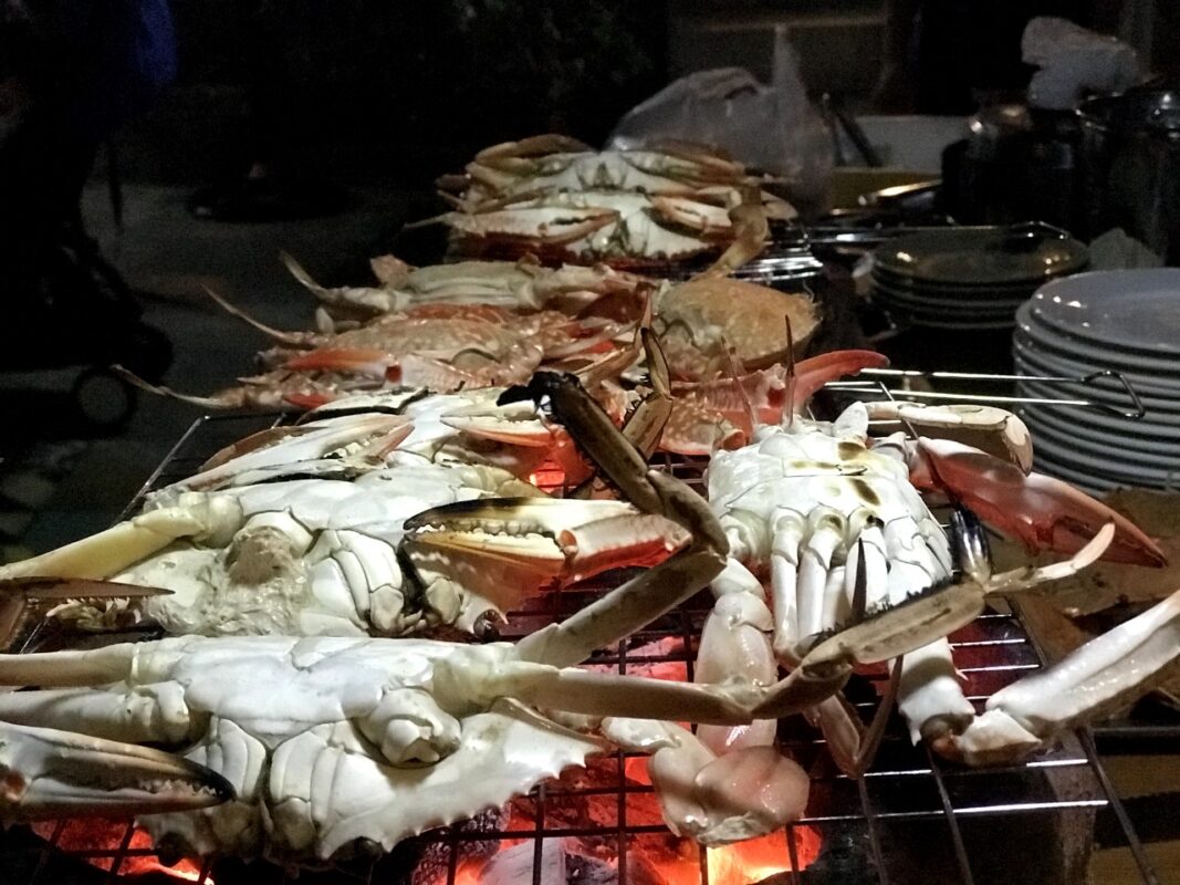 Du Lịch Hậu Giang – Vinh Tour