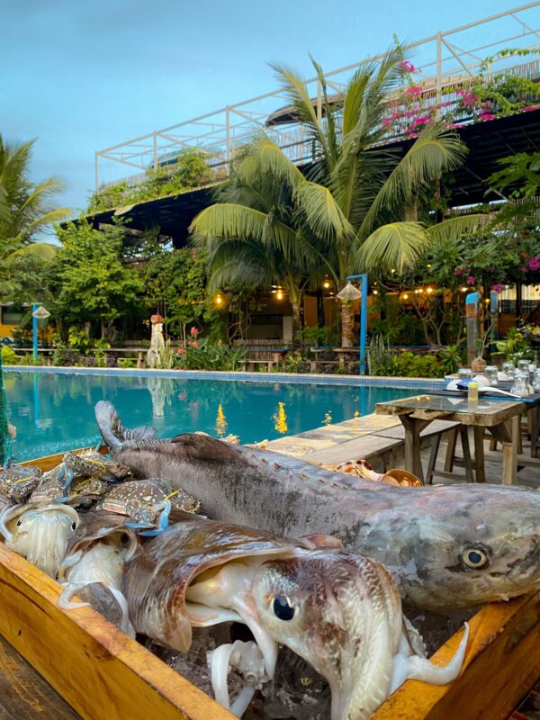 Du Lịch Hậu Giang – Vinh Tour