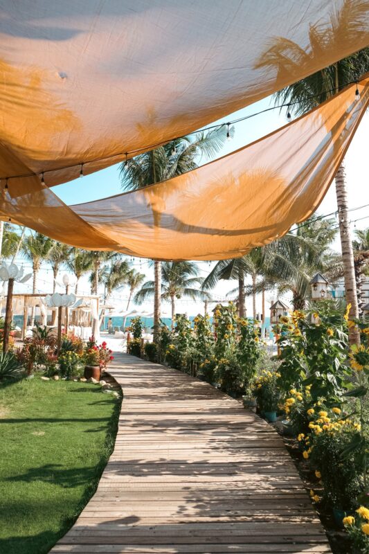 Du Lịch Hậu Giang – Vinh Tour