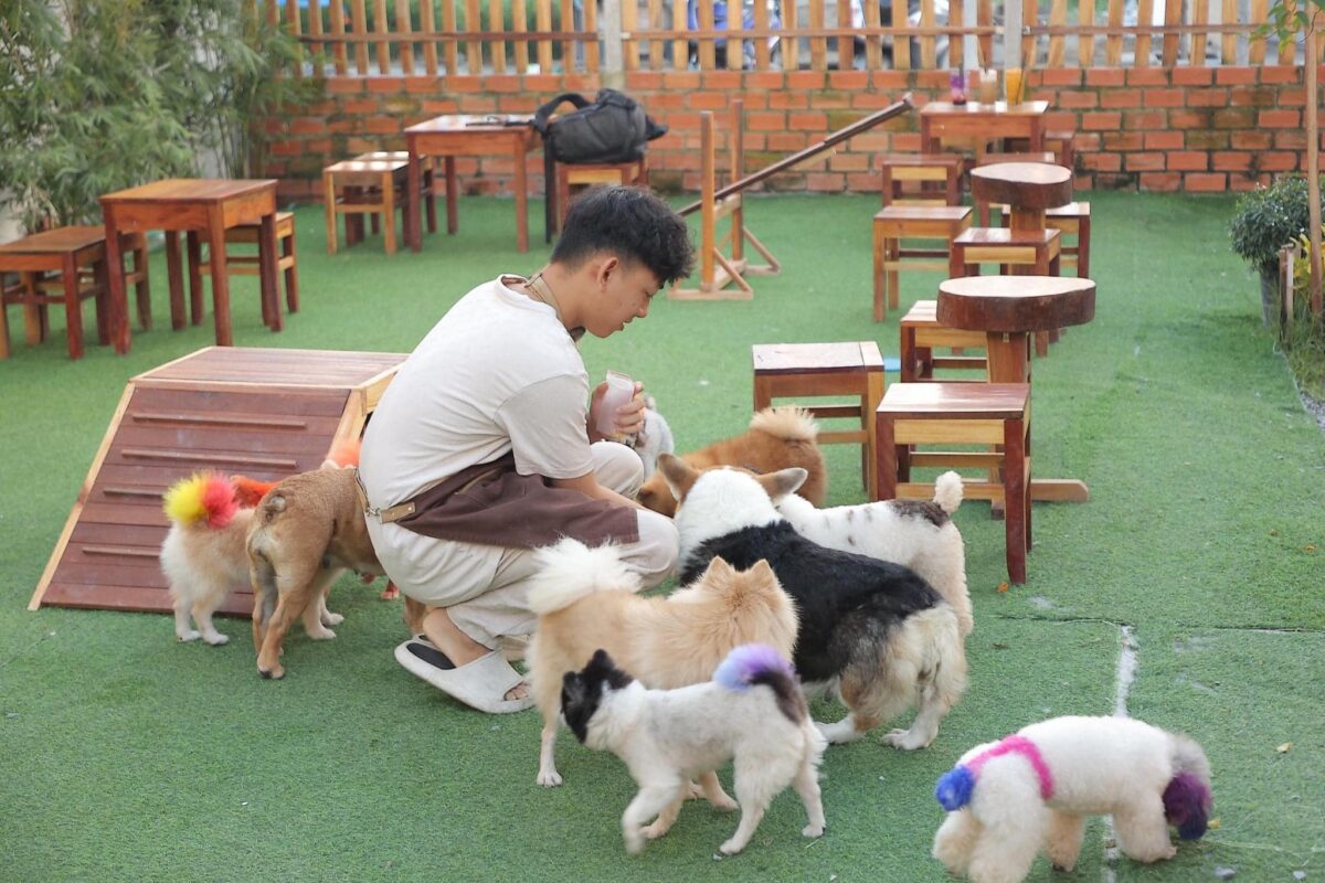 Du Lịch Hậu Giang – Vinh Tour