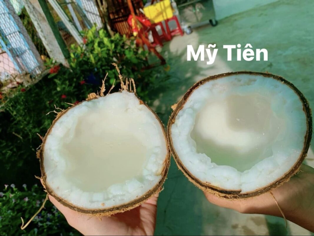 Du Lịch Hậu Giang – Vinh Tour