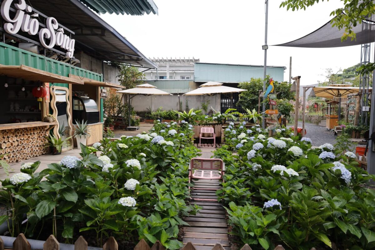 Du Lịch Hậu Giang – Vinh Tour
