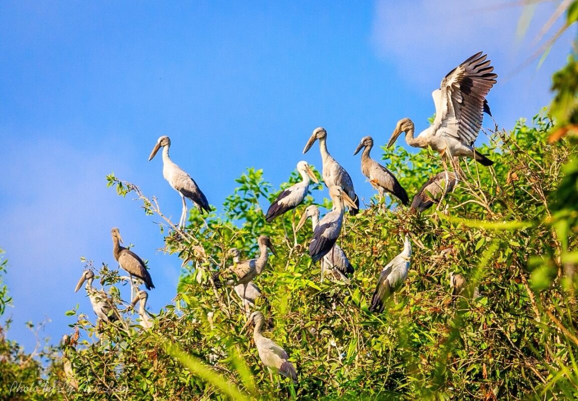 Du Lịch Hậu Giang – Vinh Tour