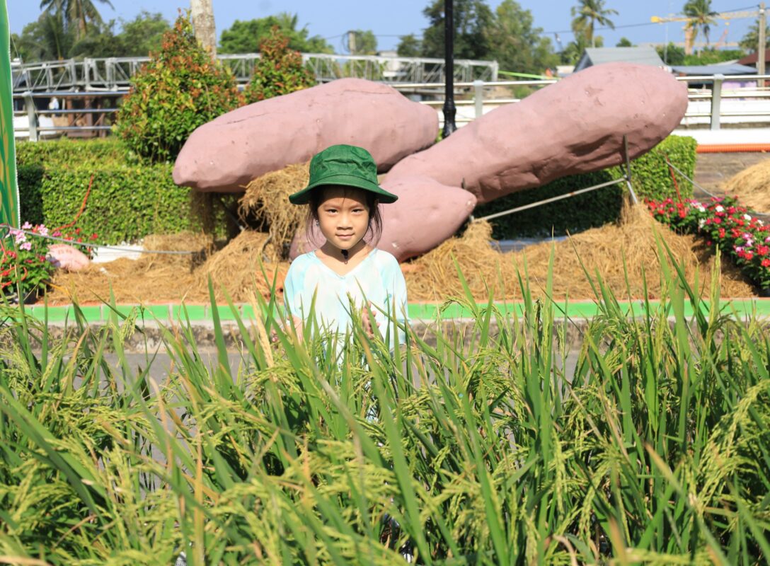 Du Lịch Hậu Giang – Vinh Tour