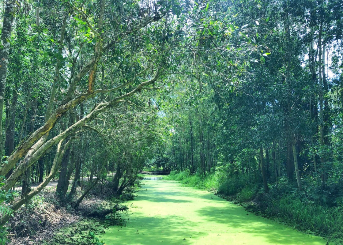 Du Lịch Hậu Giang – Vinh Tour