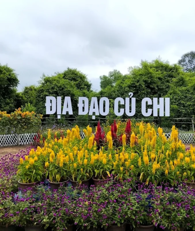 Du Lịch Hậu Giang – Vinh Tour