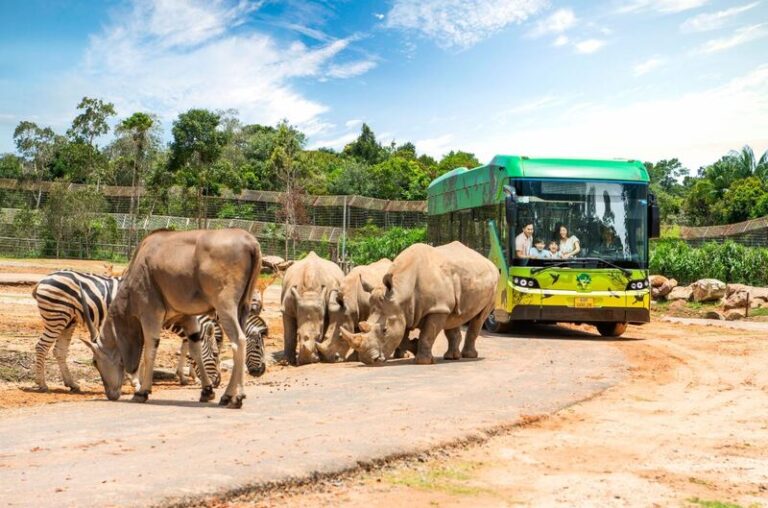 Du Lịch Hậu Giang – Vinh Tour