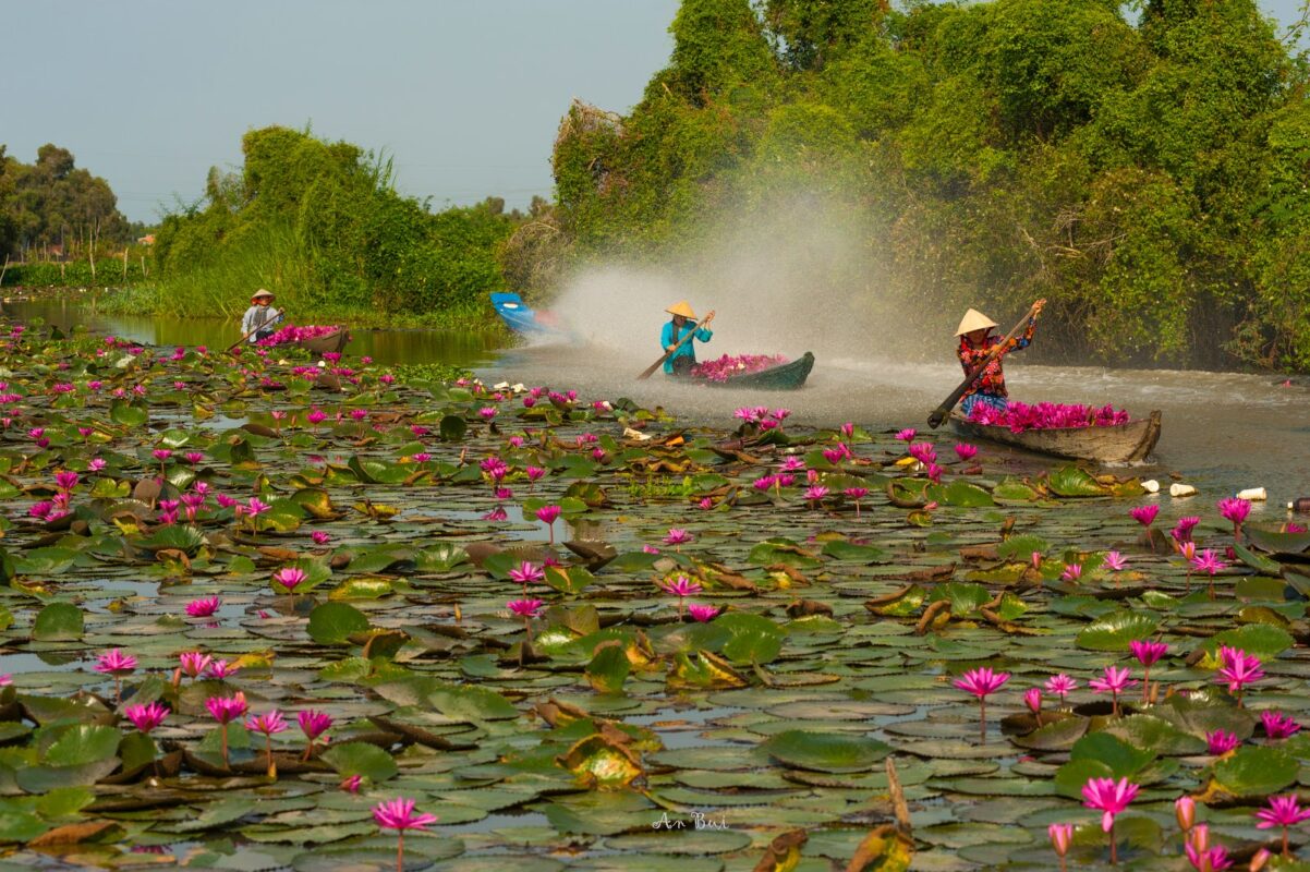 Du Lịch Hậu Giang – Vinh Tour