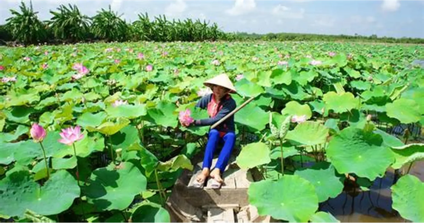 Du Lịch Hậu Giang – Vinh Tour