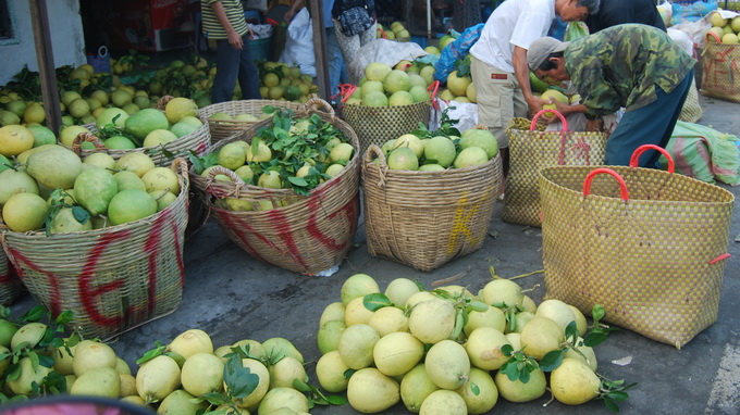 Du Lịch Hậu Giang – Vinh Tour